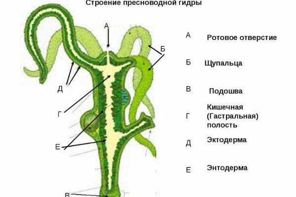 Kraken зеркало рабочее