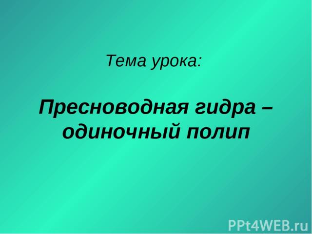 Как восстановить страницу на кракене