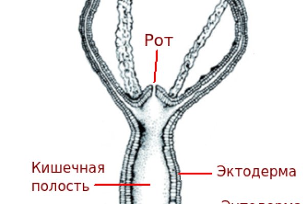 Кракен 2krn