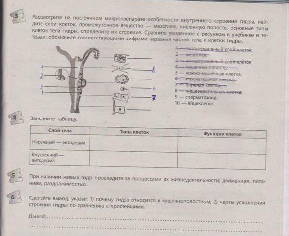 Как выводить деньги с кракена